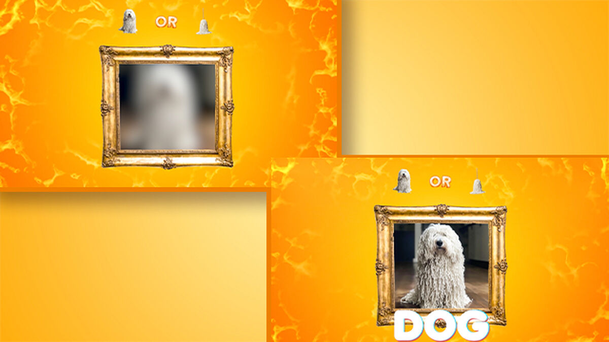 Dog or Mop: Countdown Video and Game image number null